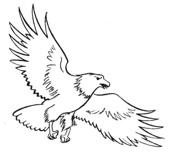 Página para colorir: Águia (animais) #318 - Páginas para Colorir Imprimíveis Gratuitamente