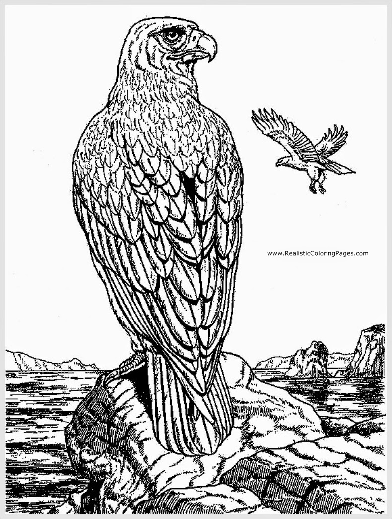 Página para colorir: Águia (animais) #324 - Páginas para Colorir Imprimíveis Gratuitamente