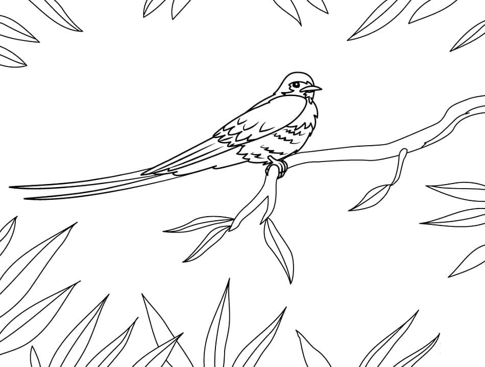 Desenho gratuito Andorinha #210273 da colecao Animais para imprimir