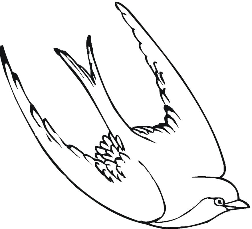 Desenho gratuito Andorinha #210283 da colecao Animais para imprimir