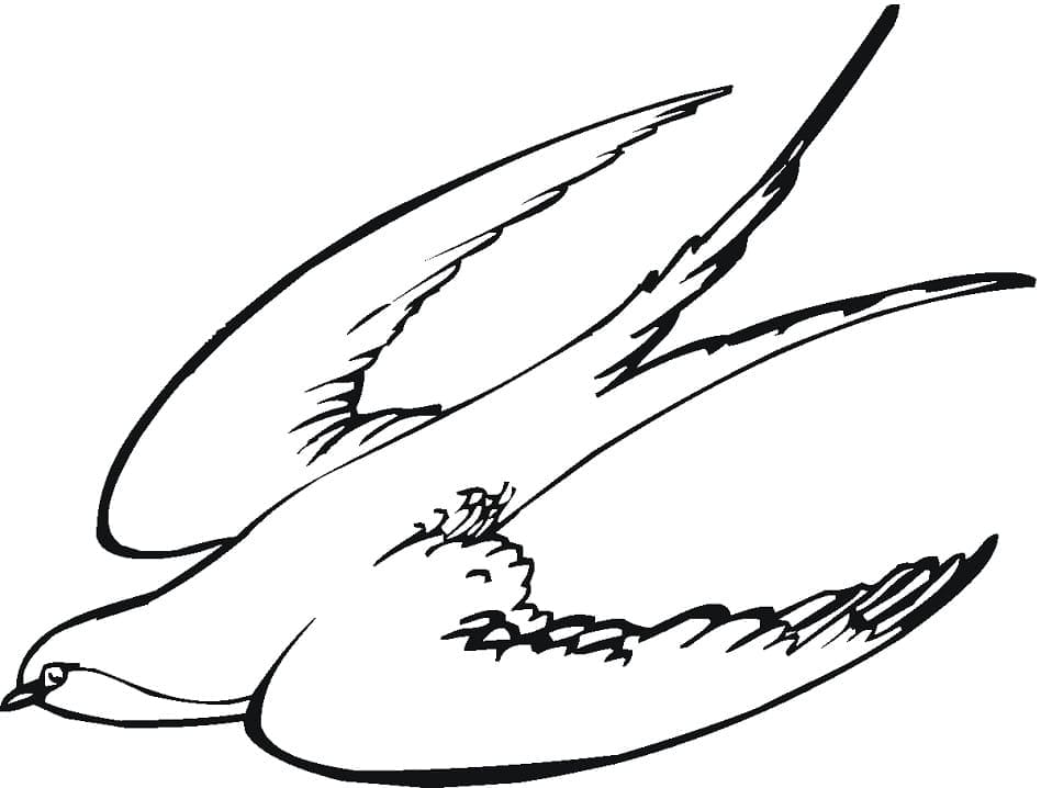 Desenho gratuito Andorinha #210286 da colecao Animais para imprimir