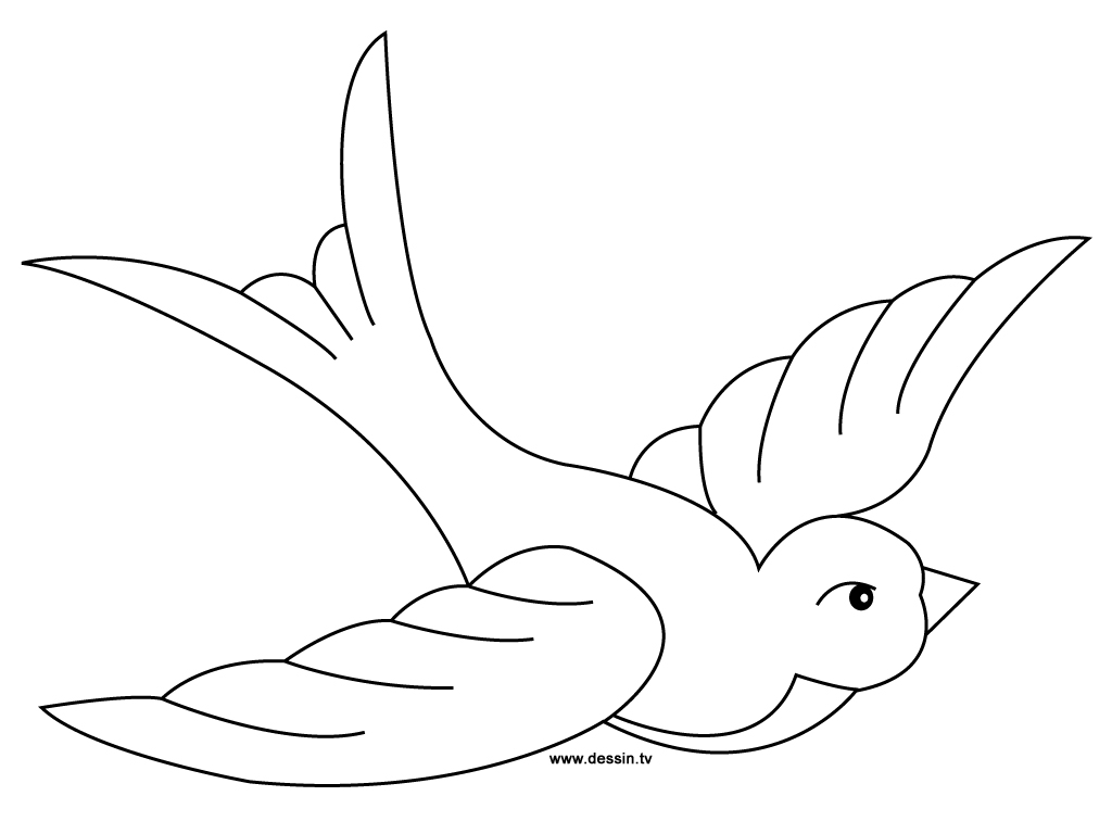Desenho gratuito Andorinha #8813 da colecao Animais para imprimir