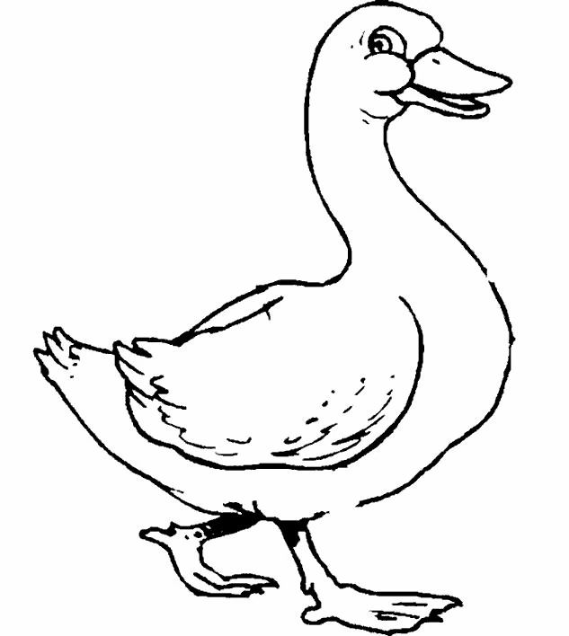 Desenho gratuito Animais da Fazenda #21386 da colecao Animais para imprimir