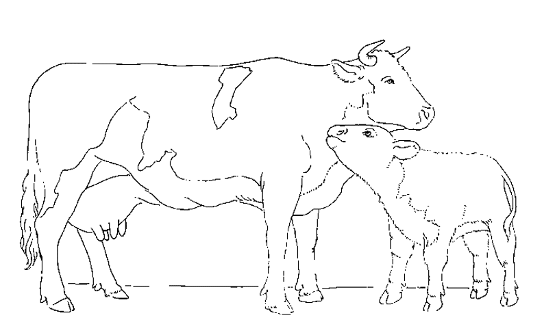 Desenho gratuito Animais da Fazenda #21405 da colecao Animais para imprimir Desenho gratuito Animais da Fazenda #21405 da colecao Animais para imprimir