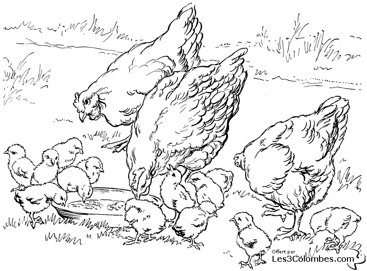 Desenho gratuito Animais da Fazenda #21514 da colecao Animais para imprimir