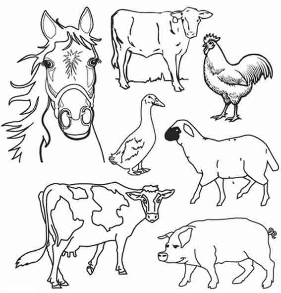 Página para colorir: Animais de fazenda (animais) #21381 - Páginas para Colorir Imprimíveis Gratuitamente