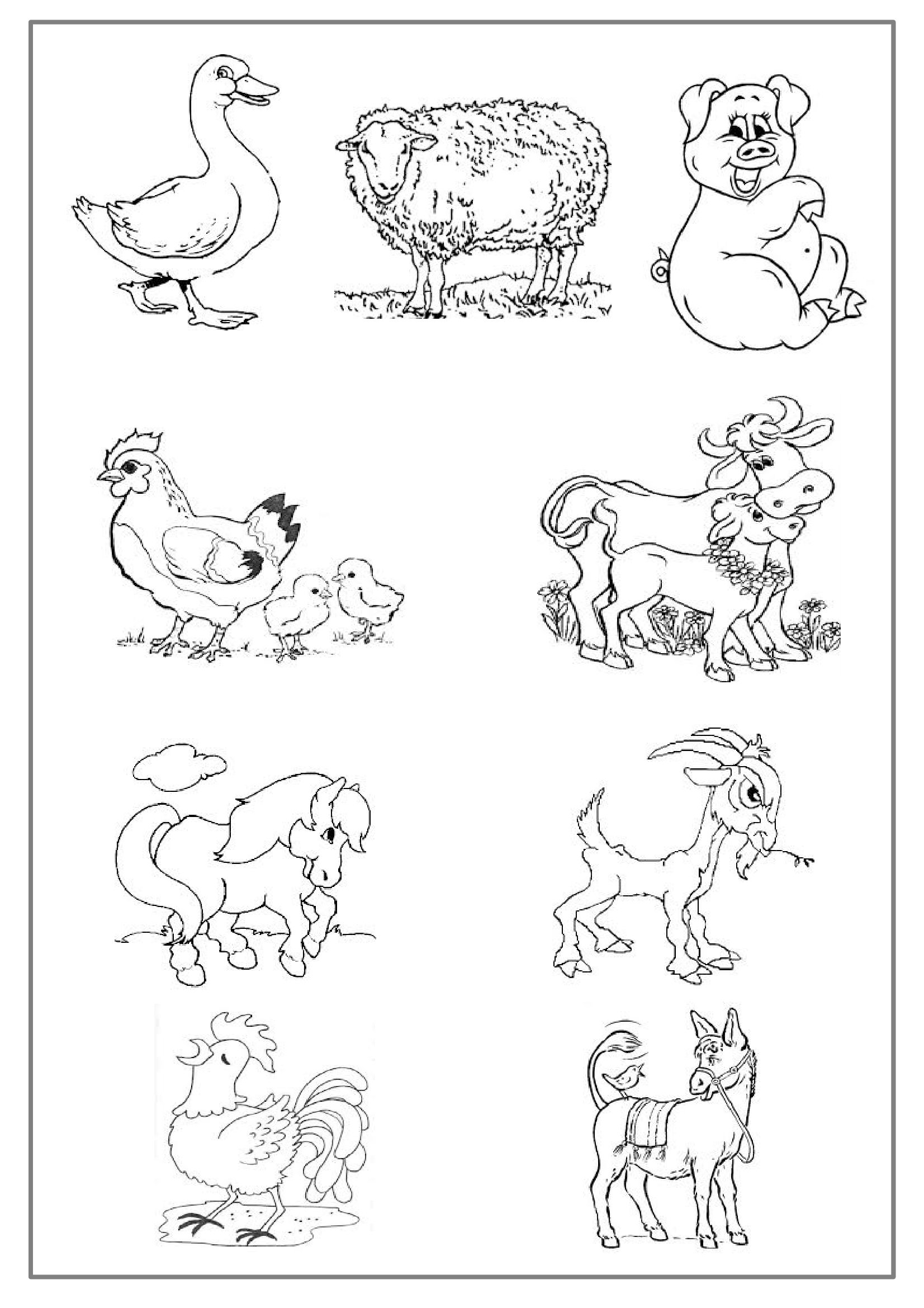 Página para colorir: Animais de fazenda (animais) #21424 - Páginas para Colorir Imprimíveis Gratuitamente