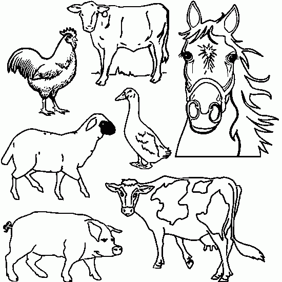 Página para colorir: Animais de fazenda (animais) #21427 - Páginas para Colorir Imprimíveis Gratuitamente