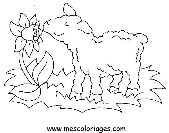 Página para colorir: Animais de fazenda (animais) #21501 - Páginas para Colorir Imprimíveis Gratuitamente