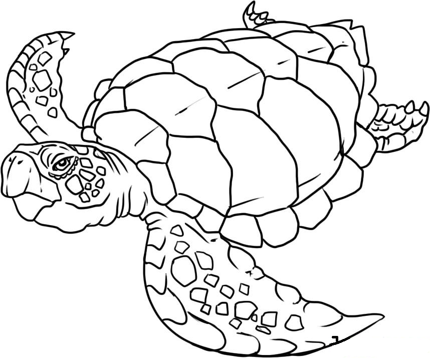 Página para colorir: animais marinhos (animais) #22001 - Páginas para Colorir Imprimíveis Gratuitamente
