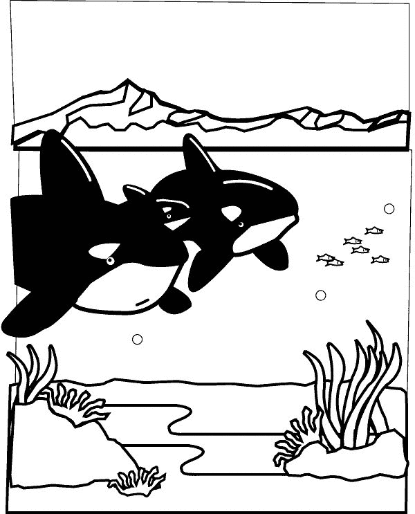 Página para colorir: animais marinhos (animais) #22133 - Páginas para Colorir Imprimíveis Gratuitamente