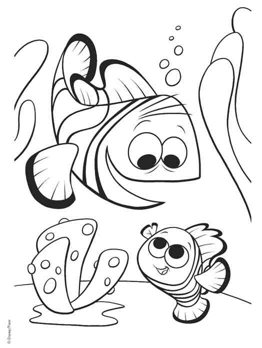 Página para colorir: animais marinhos (animais) #22201 - Páginas para Colorir Imprimíveis Gratuitamente