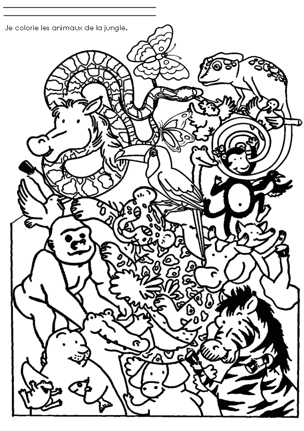 Página para colorir: Animais selvagens/da selva (animais) #21091 - Páginas para Colorir Imprimíveis Gratuitamente