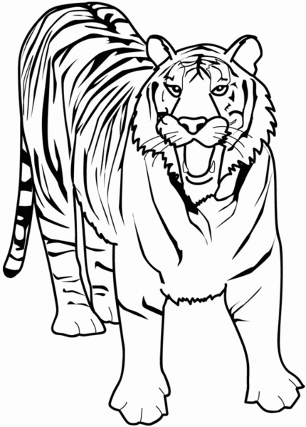 Página para colorir: Animais selvagens/da selva (animais) #21130 - Páginas para Colorir Imprimíveis Gratuitamente