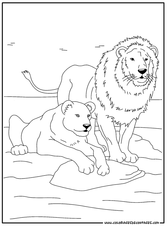 Página para colorir: Animais selvagens/da selva (animais) #21291 - Páginas para Colorir Imprimíveis Gratuitamente