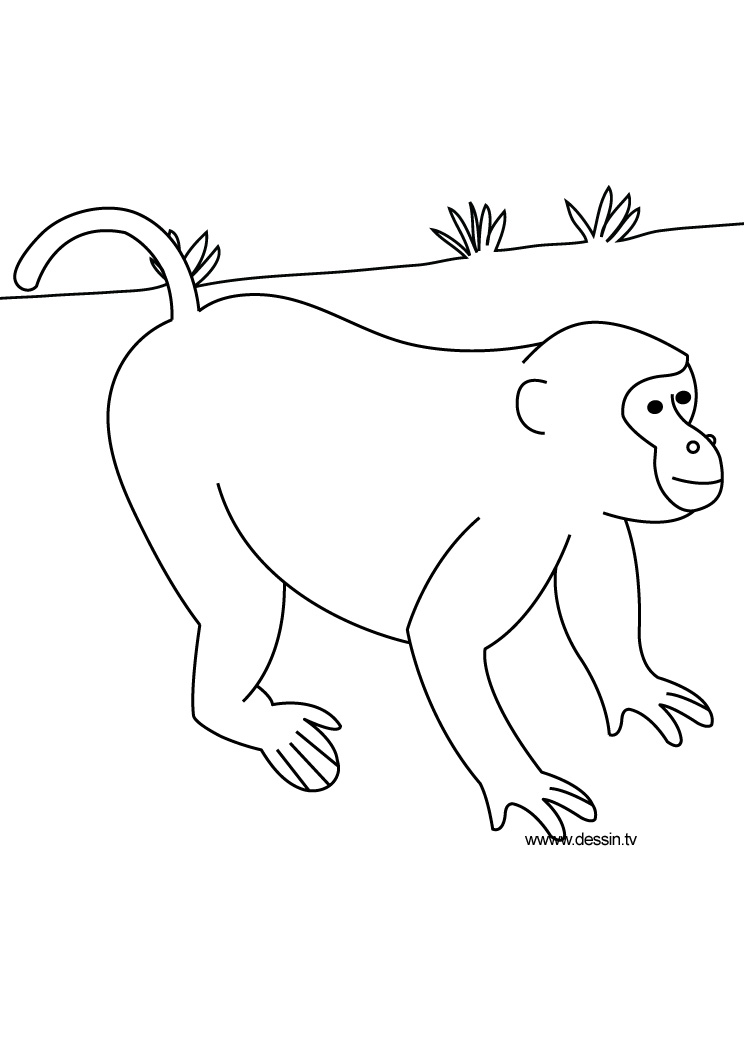 Página para colorir: Animais selvagens/da selva (animais) #21359 - Páginas para Colorir Imprimíveis Gratuitamente