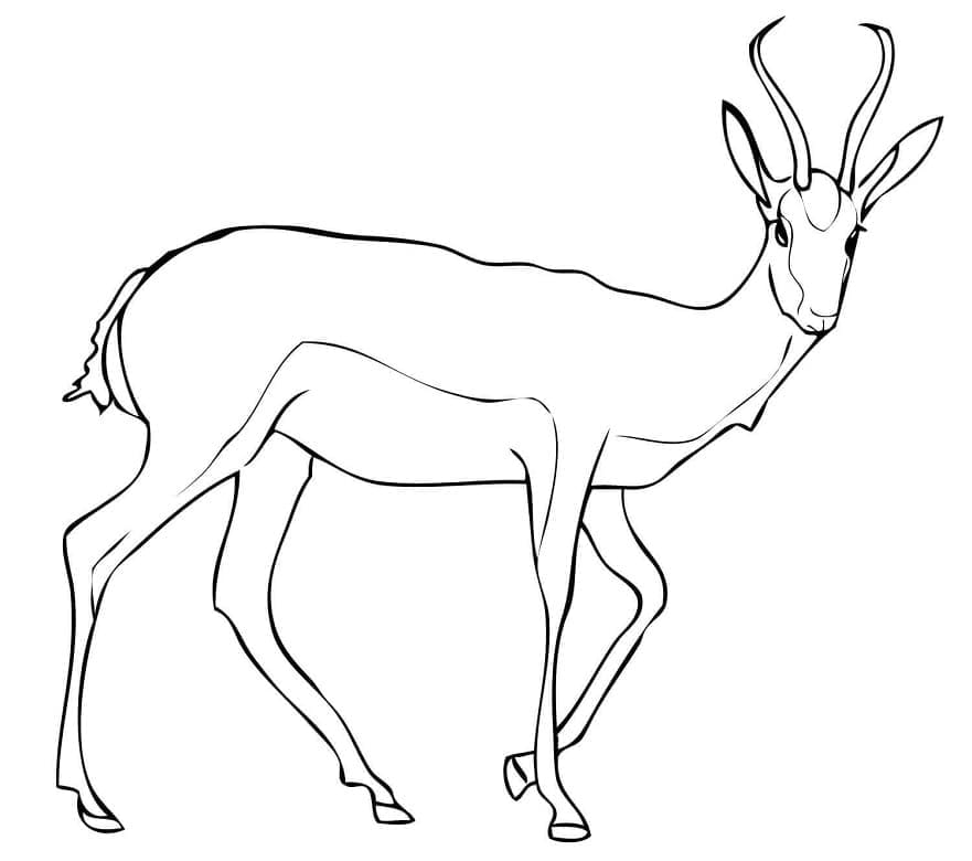 Desenho gratuito Antílope #210746 da colecao Animais para imprimir