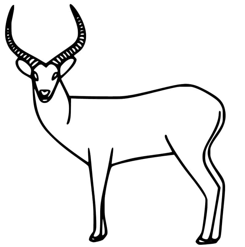 Desenho gratuito Antílope #210760 da colecao Animais para imprimir