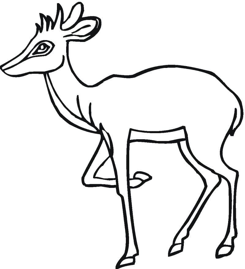 Desenho gratuito Antílope #210763 da colecao Animais para imprimir Desenho gratuito Antílope #210763 da colecao Animais para imprimir