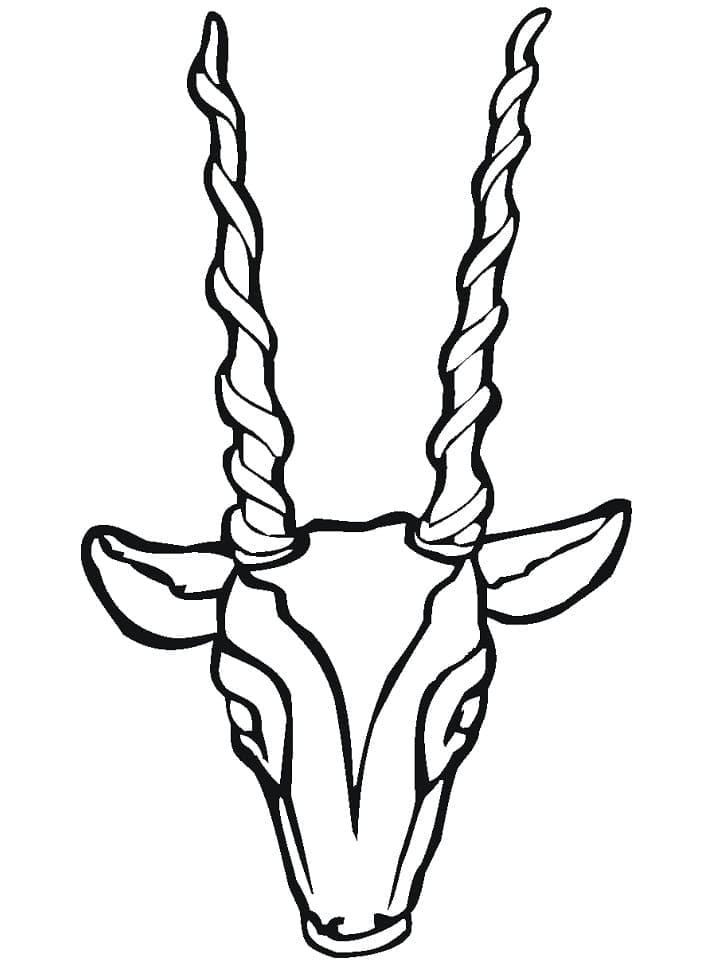 Desenho gratuito Antílope #210766 da colecao Animais para imprimir