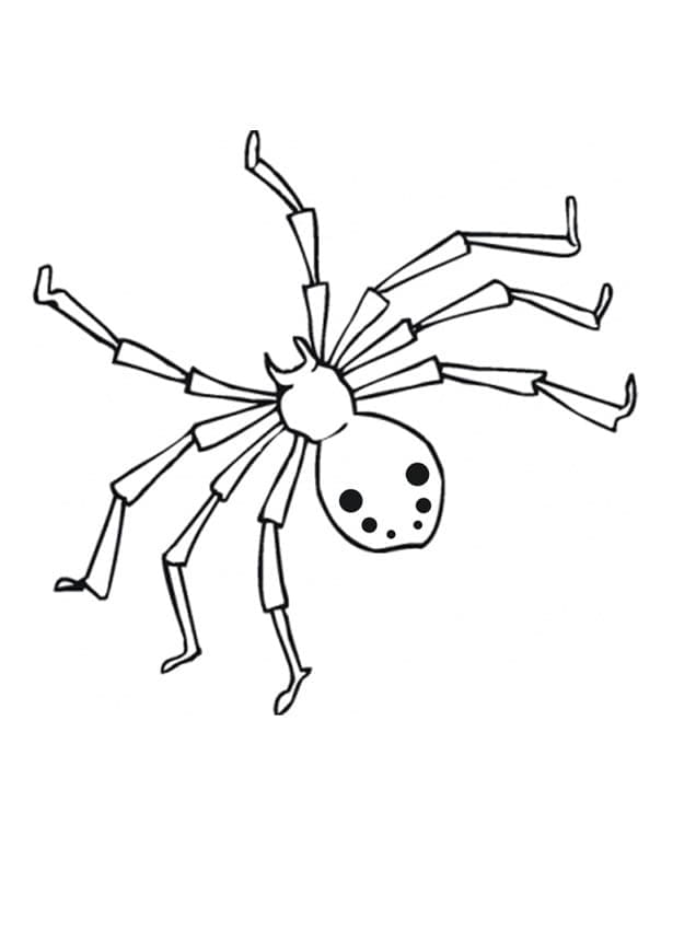 Atividade criativa: desenho de Aranha #184506 para colorir da coleção Animais Atividade criativa: desenho de Aranha #184506 para colorir da coleção Animais