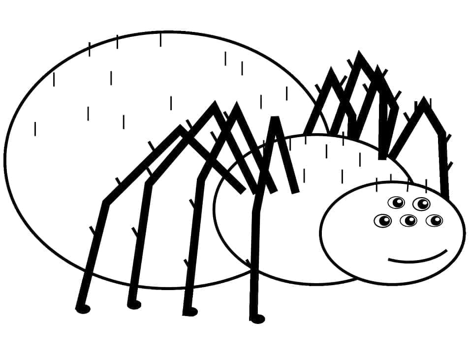 Ilustração de Aranha #184514 para colorir, parte da coleção Animais Ilustração de Aranha #184514 para colorir, parte da coleção Animais