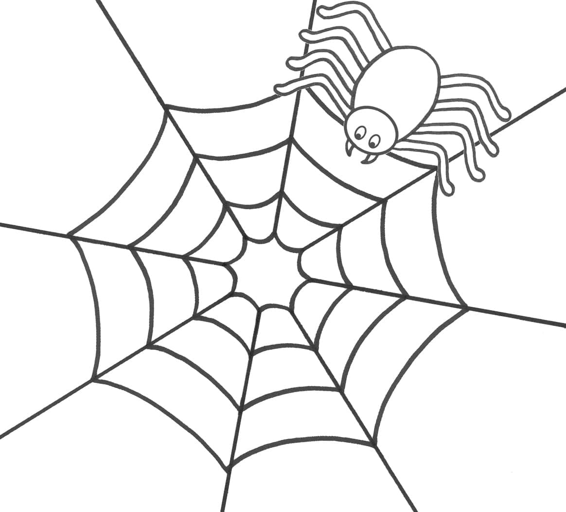 Desenho de Aranha #184519 para colorir, da coleção Animais, imprimível grátis Desenho de Aranha #184519 para colorir, da coleção Animais, imprimível grátis