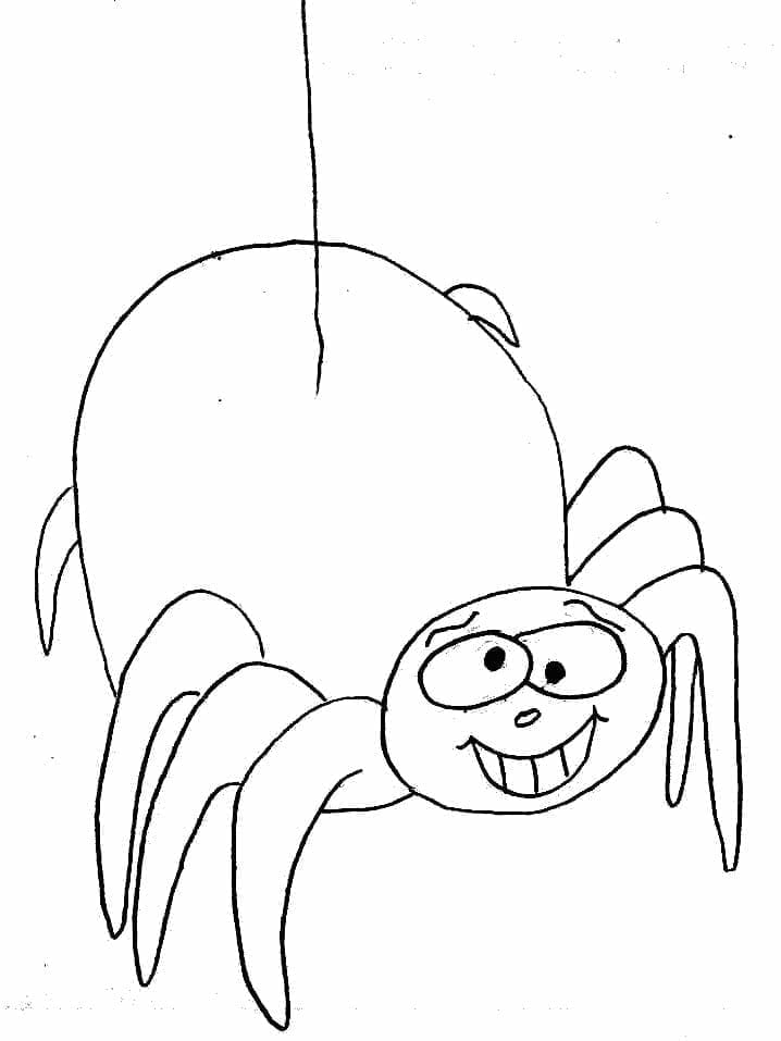 Desenho para colorir Aranha #184525 da coleção Animais, pronto para imprimir