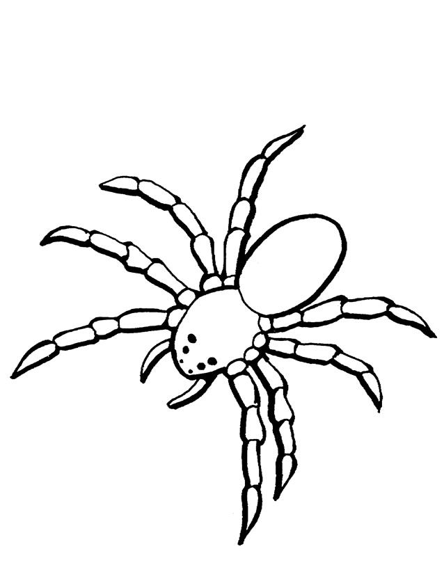Página para colorir: Aranha (animais) #621 - Páginas para Colorir Imprimíveis Gratuitamente