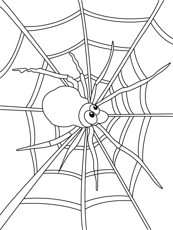 Página para colorir: Aranha (animais) #648 - Páginas para Colorir Imprimíveis Gratuitamente