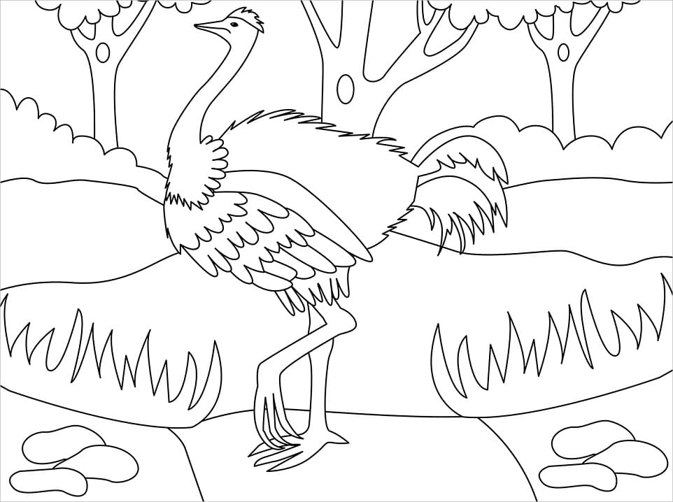 Desenho gratuito Avestruz #204542 da colecao Animais para imprimir
