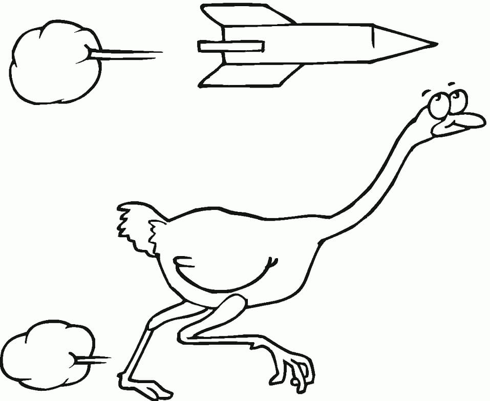 Desenho gratuito Avestruz #204547 da colecao Animais para imprimir