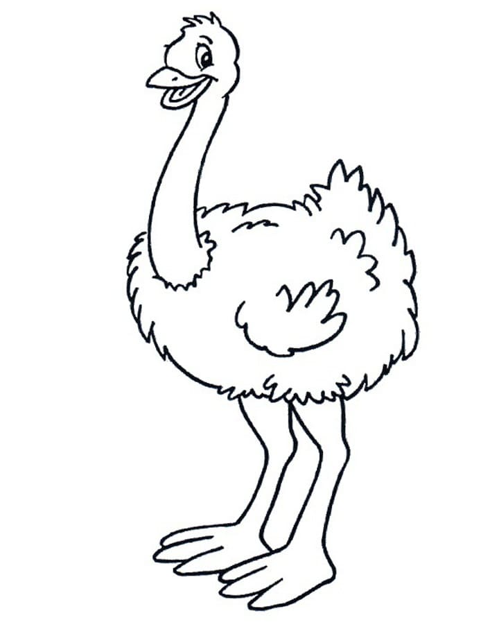 Desenho gratuito Avestruz #204587 da colecao Animais para imprimir