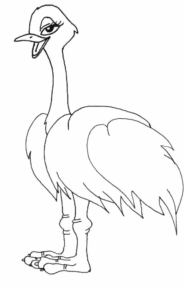 Página para colorir: Avestruz (animais) #676 - Páginas para Colorir Imprimíveis Gratuitamente