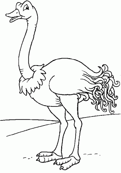Página para colorir: Avestruz (animais) #677 - Páginas para Colorir Imprimíveis Gratuitamente
