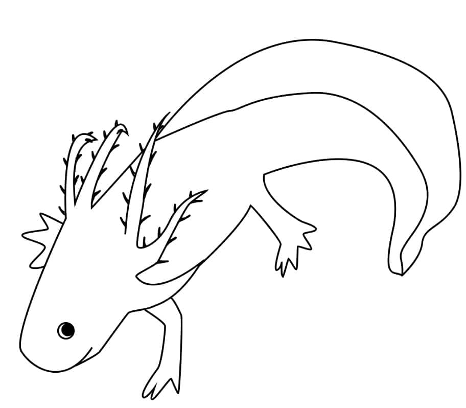 Desenho gratuito Axolote #184583 da colecao Animais para imprimir