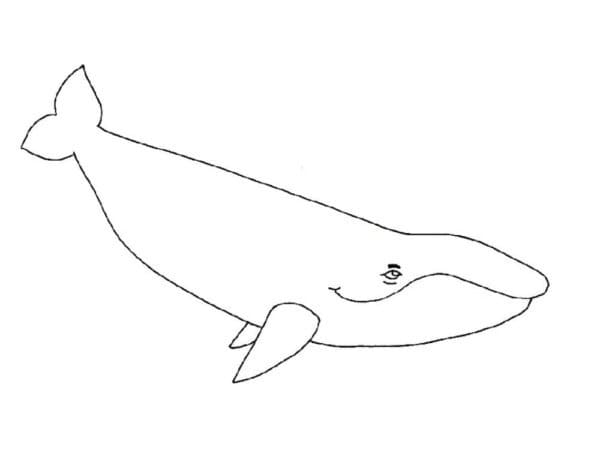 Desenho gratuito Baleia #184682 da colecao Animais para imprimir