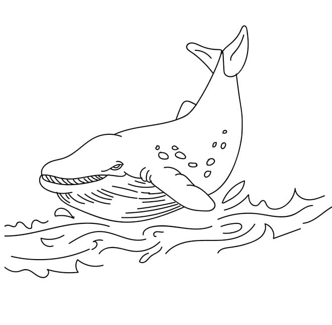 Desenho gratuito Baleia #184708 da colecao Animais para imprimir