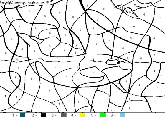 Página para colorir: Baleia (animais) #912 - Páginas para Colorir Imprimíveis Gratuitamente
