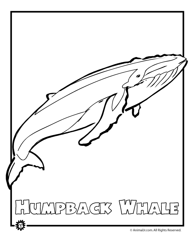 Página para colorir: Baleia (animais) #915 - Páginas para Colorir Imprimíveis Gratuitamente