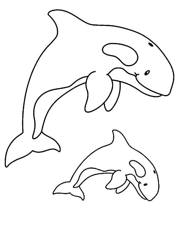 Página para colorir: Baleia (animais) #932 - Páginas para Colorir Imprimíveis Gratuitamente