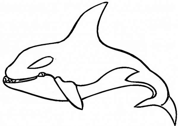 Página para colorir: Baleia (animais) #941 - Páginas para Colorir Imprimíveis Gratuitamente