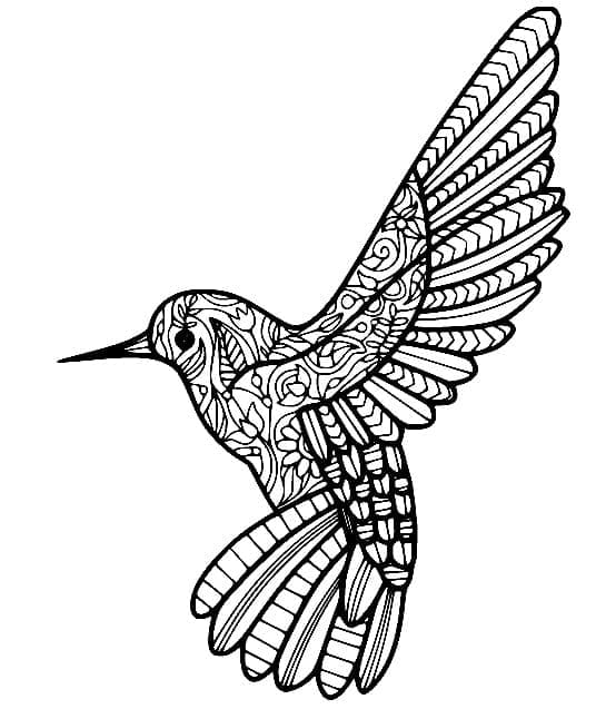 Desenho gratuito Beija-flor #208608 da colecao Animais para imprimir Desenho gratuito Beija-flor #208608 da colecao Animais para imprimir