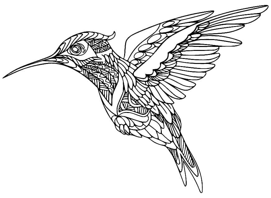 Desenho gratuito Beija-flor #208609 da colecao Animais para imprimir Desenho gratuito Beija-flor #208609 da colecao Animais para imprimir