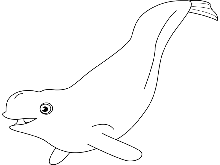 Página para colorir: beluga (animais) #1042 - Páginas para Colorir Imprimíveis Gratuitamente