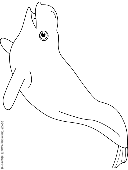 Página para colorir: beluga (animais) #1064 - Páginas para Colorir Imprimíveis Gratuitamente