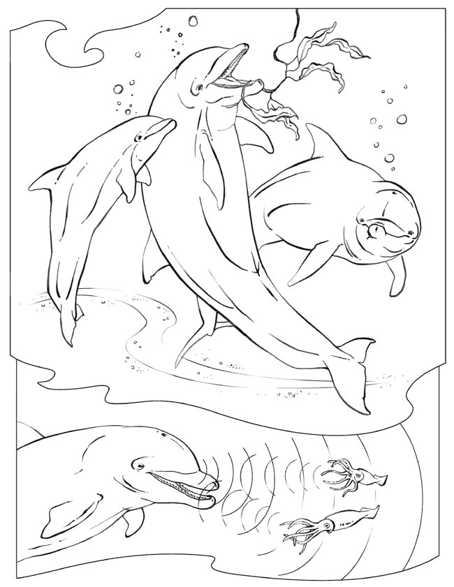 Página para colorir: beluga (animais) #1088 - Páginas para Colorir Imprimíveis Gratuitamente