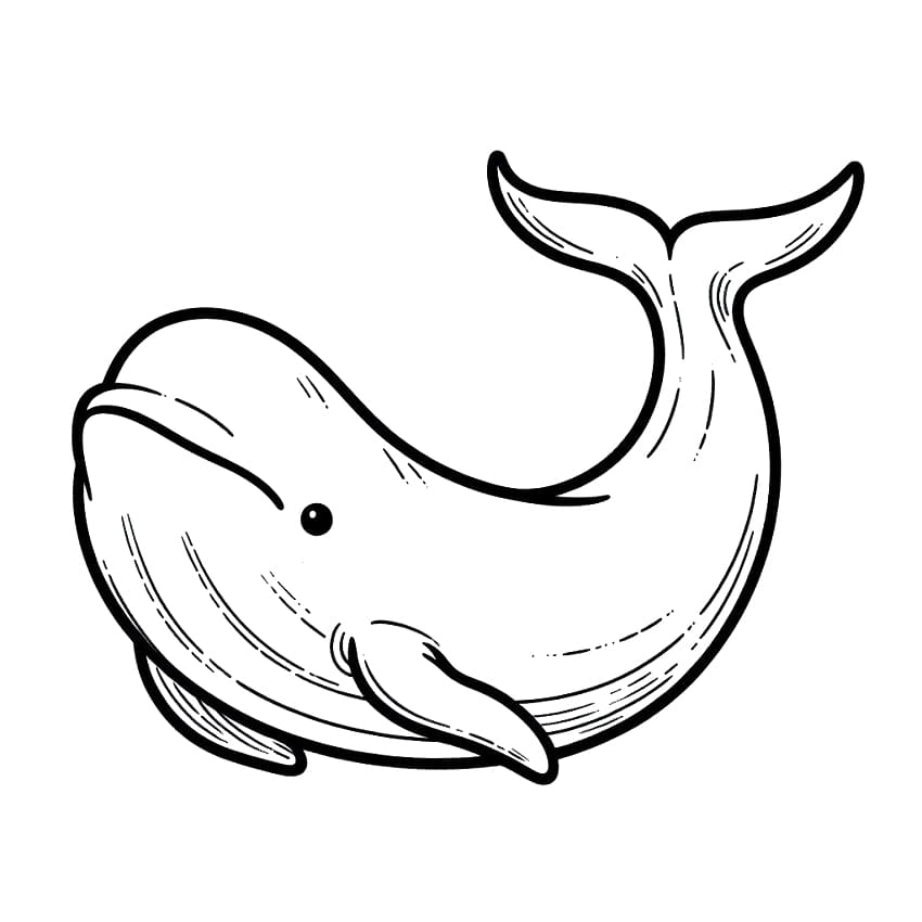 Desenho gratuito Beluga #210348 da colecao Animais para imprimir Desenho gratuito Beluga #210348 da colecao Animais para imprimir