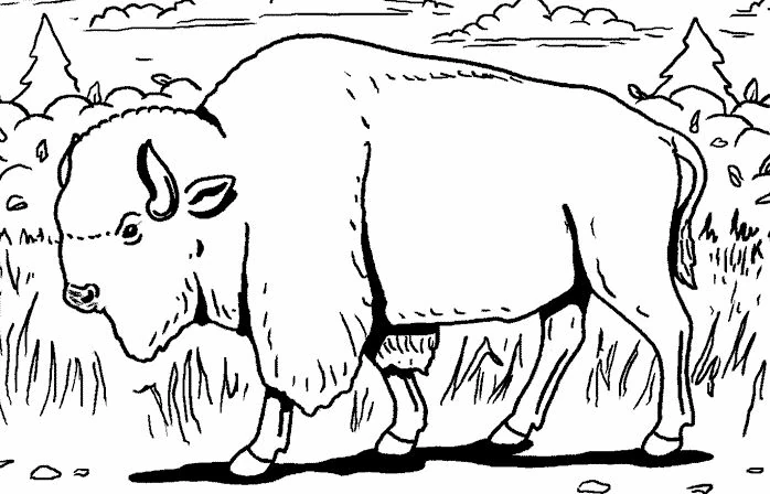 Desenho grátis de Bisão #1193 para crianças e adultos, coleção Animais Desenho grátis de Bisão #1193 para crianças e adultos, coleção Animais