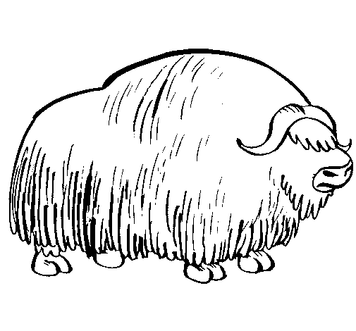 Desenho gratuito Bisão #1200 da colecao Animais para imprimir
